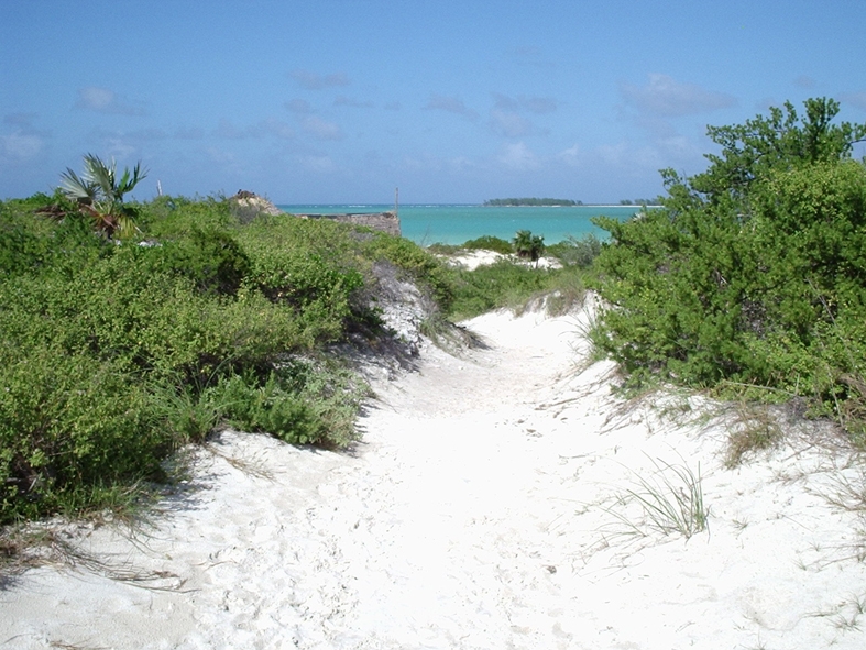 PB150141 Path through the lovely, sandy dunes at Playa Pilar (Cayo Guillermo).
Stig genom de h�rliga dynorna av fin sand p� Playa Pilar (Cayo Guillermo).
Photo/Foto: Ian