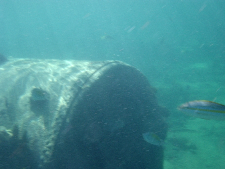 PB210183 Shipwreck on the coral reef off the coast of Half Moon Island.
Delar av vrak p korallrevet utanfr Half Moon Island.
Photo/Foto: Ian     